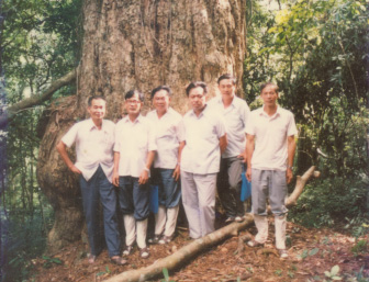 历史沿革