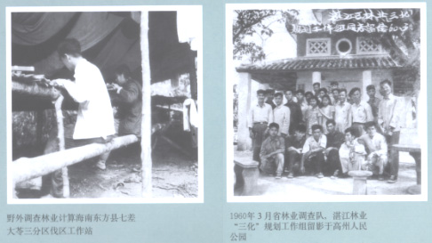 历史沿革